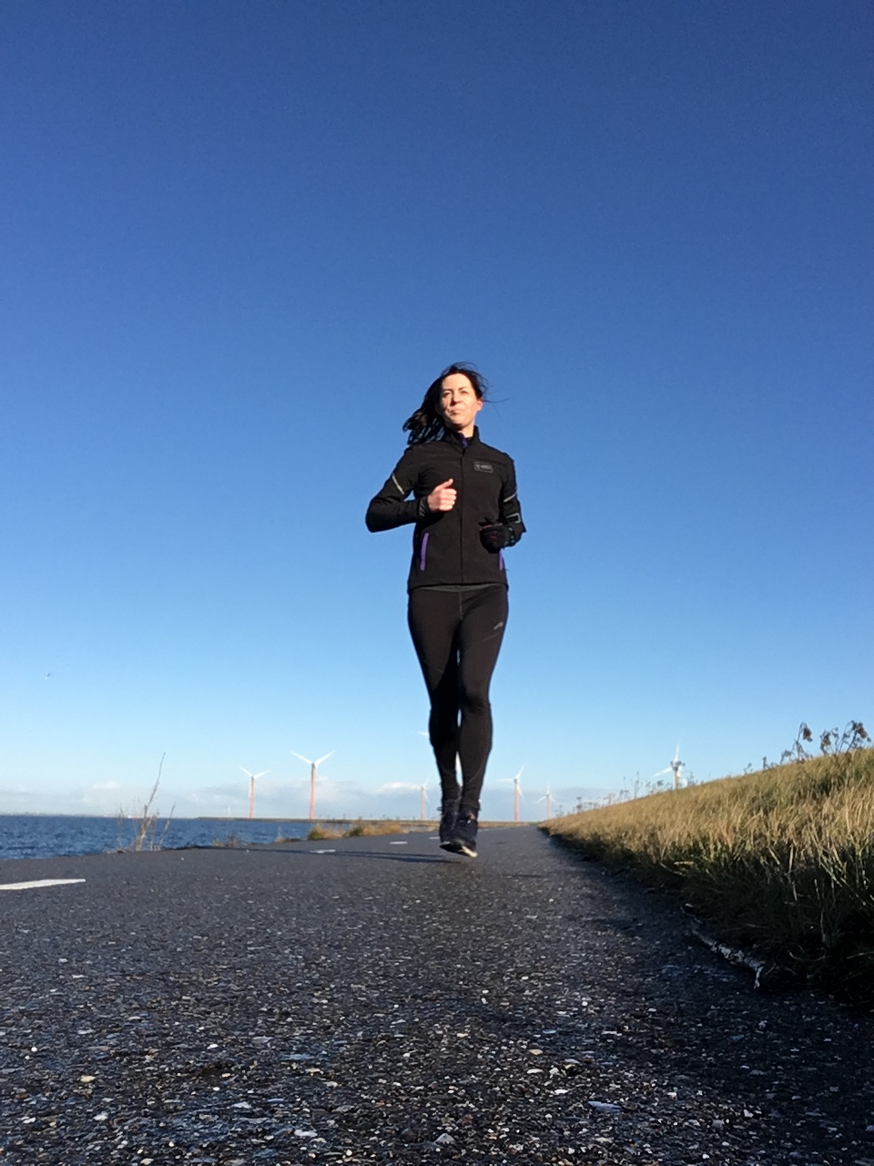 Winter landscapes - no bushes here!